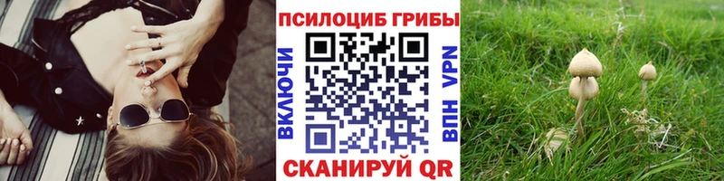 Галлюциногенные грибы Psilocybine cubensis  ссылка на мегу ссылка  Тотьма  магазин   