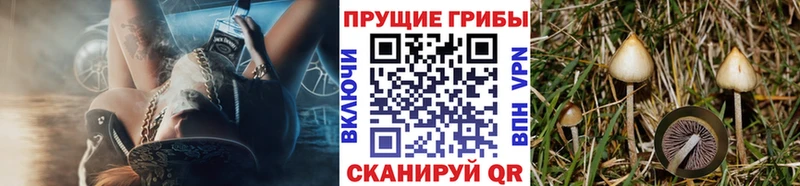 Псилоцибиновые грибы ЛСД Тотьма